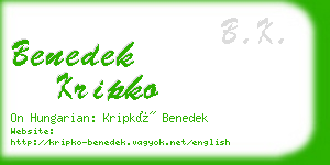 benedek kripko business card